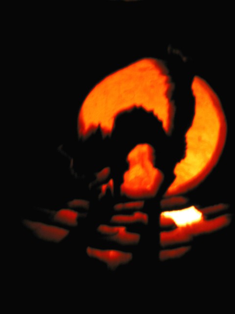Pumkin Image