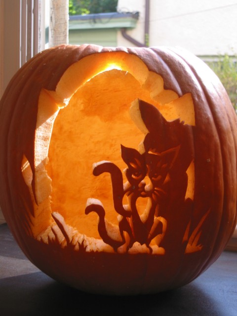 Pumkin Image