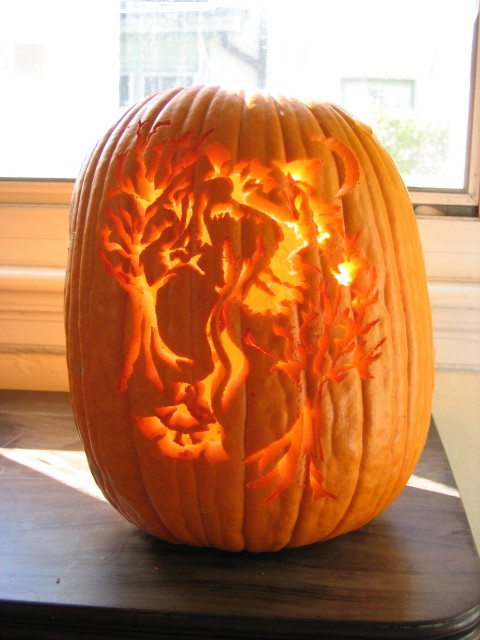 Pumkin Image