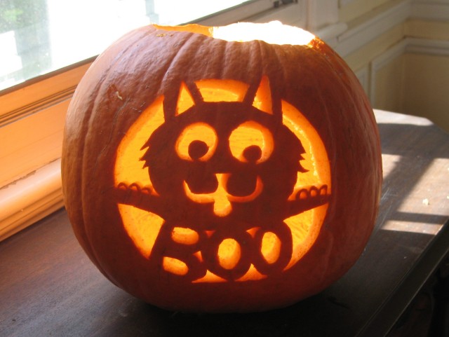 Pumkin Image